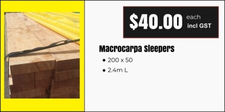 200x50 macrocarpa